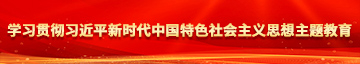 东北老逼网学习贯彻习近平新时代中国特色社会主义思想主题教育